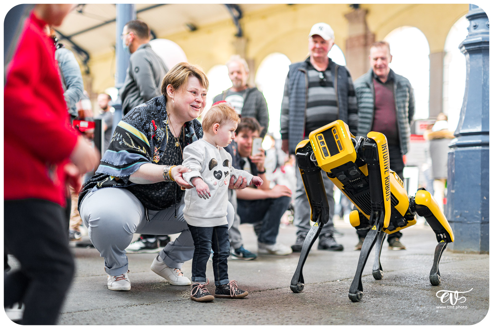 SPOT (BOSTON DYNAMICS)